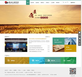 桂林力源粮油食品集团官方网站顺利上线，视点科技赋能企业数字化转型