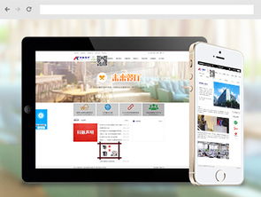 沙漠风网站建设公司 为软件企业打造卓越在线门户的典范