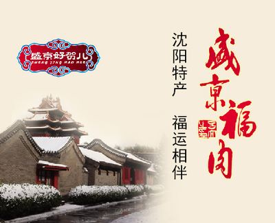 沈阳晒悦软件 一站式网站建设与移动应用开发解决方案